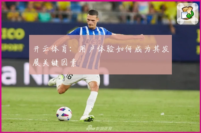 开云体育：用户体验如何成为其发展关键因素