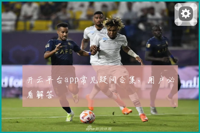 开云平台app常见疑问合集，用户必看解答