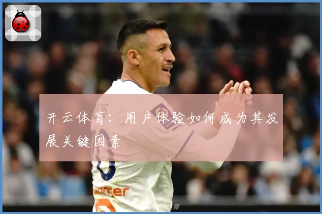 开云体育：用户体验如何成为其发展关键因素