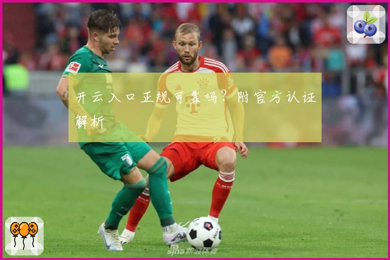 开云入口正规可靠吗？附官方认证解析
